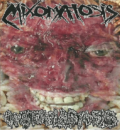 Cystoblastosis : Mixomatosis - Cystoblastosis